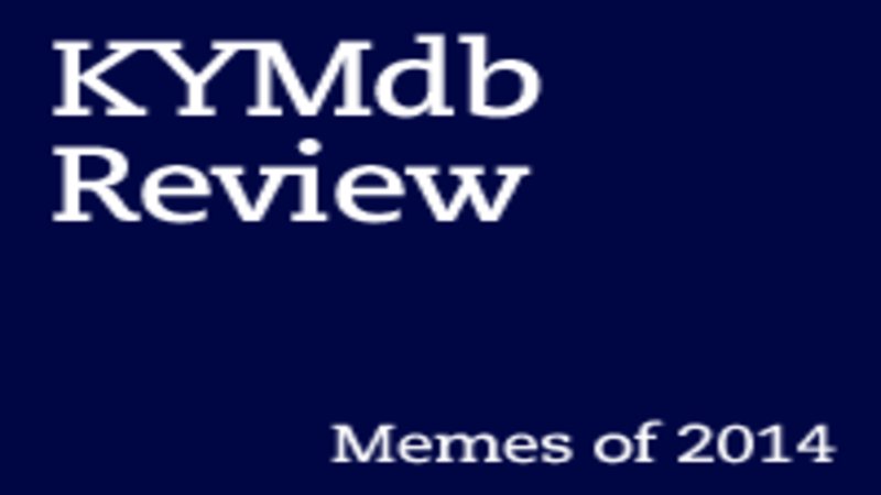KYM Review: Memes of 2014 | Know Your Meme