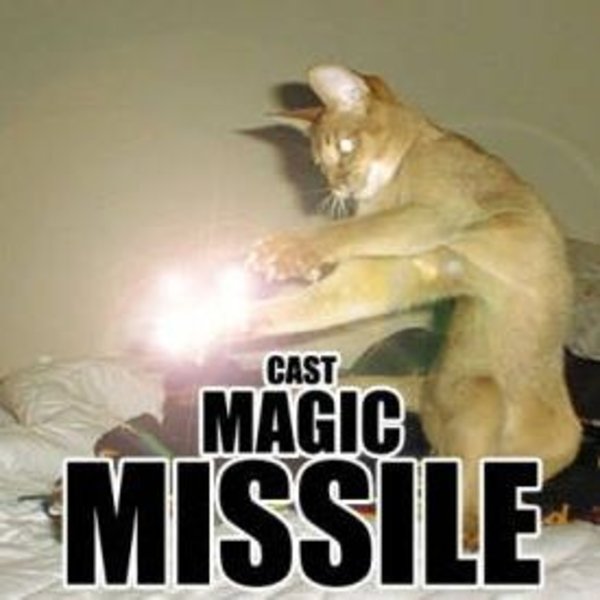 Dungeon And Dragons Cat Meme Dungeon And Dragons Cat Meme