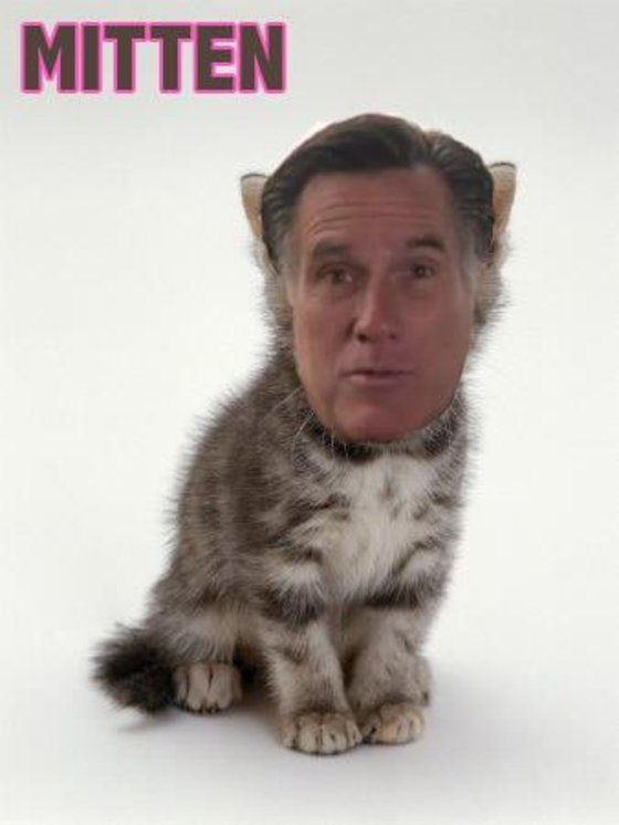 Mitten Know Your Meme