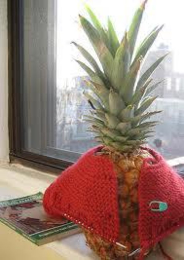 Pineapples Don't have sleeves/Mr owl's knowledge Know Your Meme