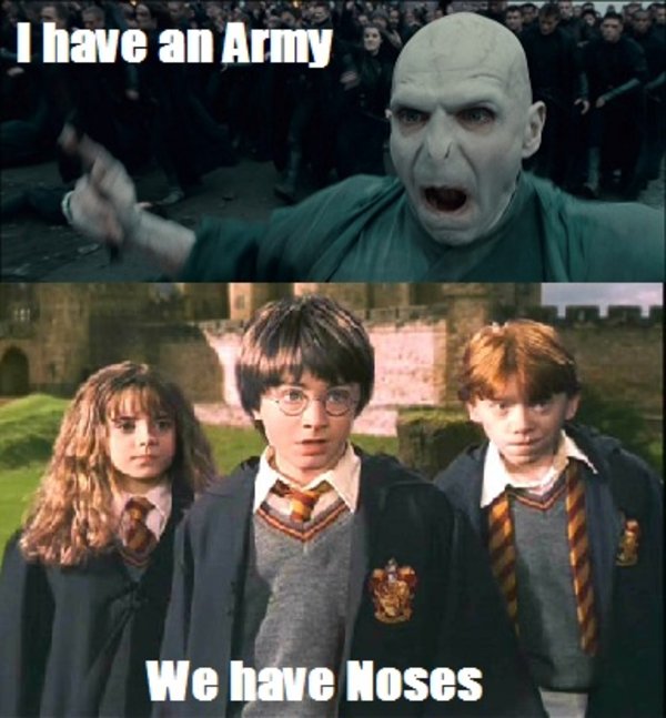 i have an army we have an x know your meme Voldemort_and_his_followers_at_the_Battle_of_Hogwarts i have an army we have an x know your meme