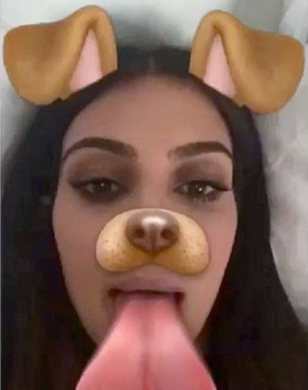 dog filter know your meme kimk dog filter know your meme