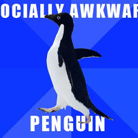Socially Awkward Penguin