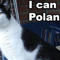 Kitler