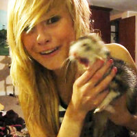 Tabby