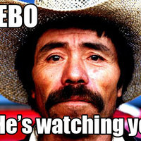 Peebo