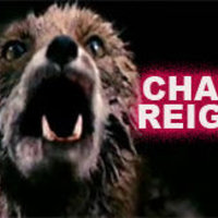 chaos reigns