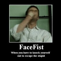 FaceFist