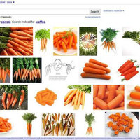 Waffles? Don't You Mean Carrots?