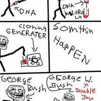 Troll Politics