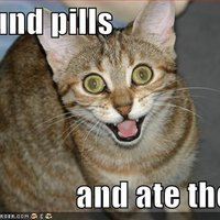 I Found Pills... And Ate Them!