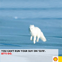 "Let's Go! Arctic" Hoax Campaign
