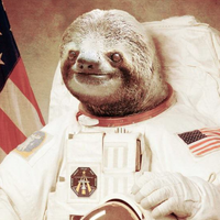 Astronaut Sloth