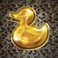 #WhatTheDuck