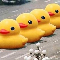 Big Yellow Duck