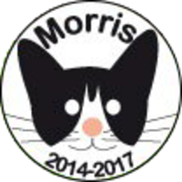 El CandiGato Morris (Morris the Cat-idate)