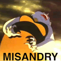 Misandry