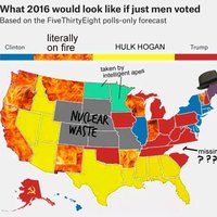 Electoral College Map Parodies