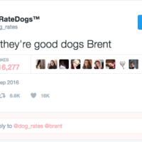 They're Good Dogs Brent