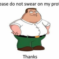 Please Do Not Swear On My Profile, Thanks