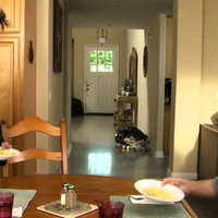 Always Sunny Plate Toss