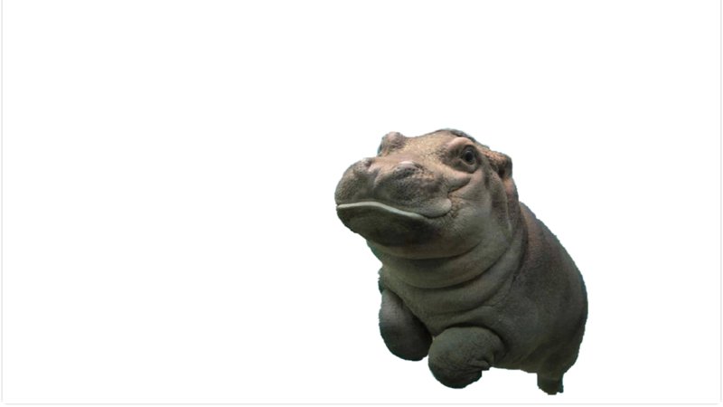 Swipe Up To Make This Fly