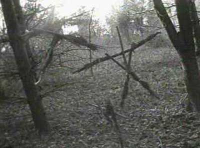 Výsledek obrázku pro Blair Witch forest