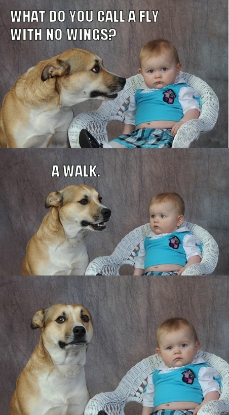 dad joke dog know your meme AhnUG9U dad joke dog know your meme