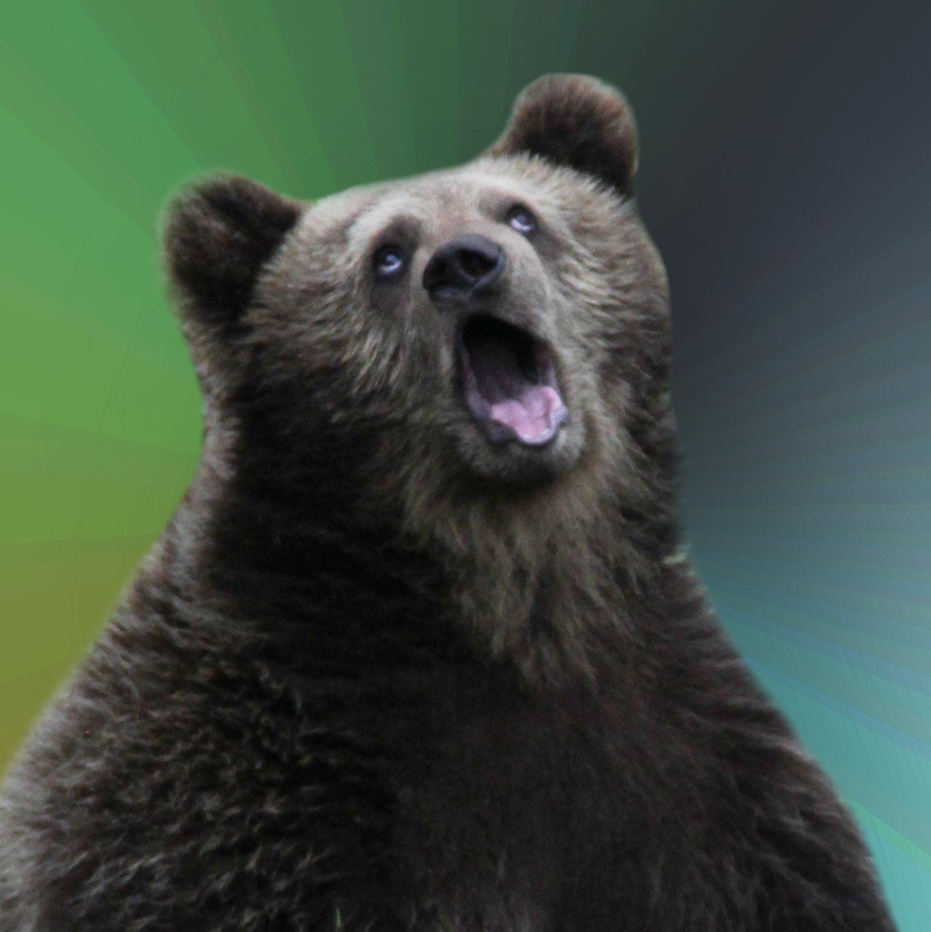 sarcastic bear know your meme 00000001 sarcastic bear know your meme