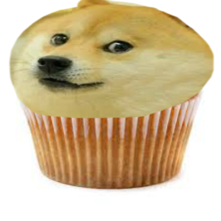 dog muffin Know Your Meme