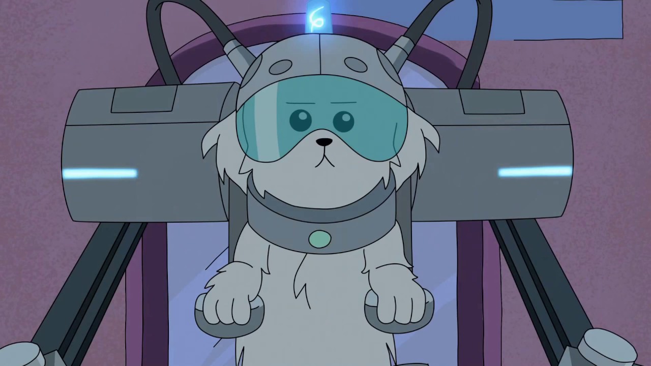 Image result for where are my testicles summer