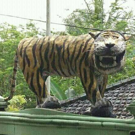 Harimau Lucu | Know Your Meme