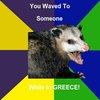 Impolite Possum