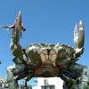 E3 Sony 2006 / Giant Enemy Crab E3 Sony 2006 / Giant Enemy Crab