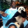 Shaq holding a panda Shaq holding a panda