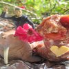 The Marriage of Spock and Miss Sausage