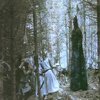 Monty Python and the Holy Grail Scenes