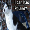 Kitler Kitler