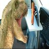 Laptop Steering Wheel Desk (Amazon Reviews) Laptop Steering Wheel Desk (Amazon Reviews)