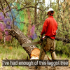 Faggottree