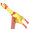 Chicken Chicken