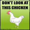 Don't Look At This Chicken Don't Look At This Chicken