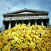 Suddenly, Bananas! Thousands Of Them! Suddenly, Bananas! Thousands Of Them!