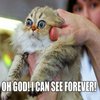 Oh God! I Can See Forever!