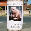 IRL Troll Posters IRL Troll Posters