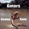 gatorsgonnagate gatorsgonnagate