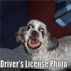 DRIVER'S LICENSE PHOTO