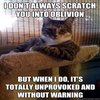 The Most Interesting Cat in the World The Most Interesting Cat in the World