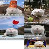 Wize cat...