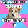 Critical Feminist Corgi Critical Feminist Corgi